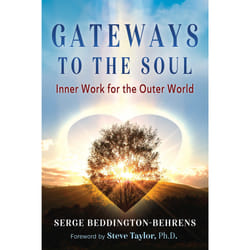 ISBN Gateways to the Soul book Health, mind & body English Paperback 304 pages