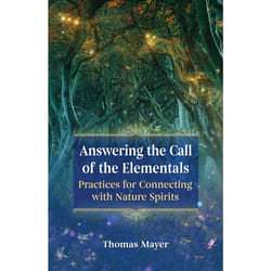 ISBN Answering the Call of the Elementals book Health, mind & body English Paperback 160 pages