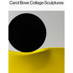 ISBN Carol Bove: Collage Sculptures book Art & design English Hardcover 160 pages