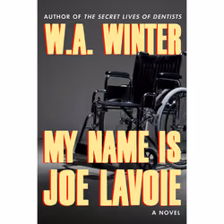 ISBN My Name is Joe LaVoie, English, Paperback, 329 pages