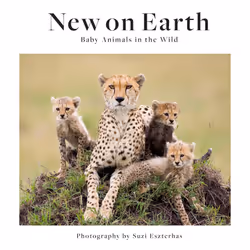 ISBN New on Earth, English, 352 pages