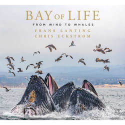 ISBN Bay of Life book Animals English Hardcover 240 pages