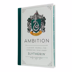 ISBN Harry Potter: Ambition, Literary fiction, English, Hardcover, 224 pages