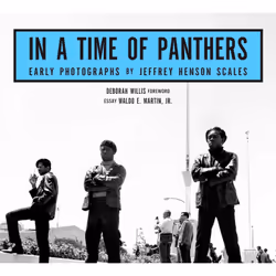 ISBN In A Time of Panthers, Society, English, Hardcover, 104 pages