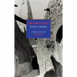 ISBN The Simple Past, English, Paperback, 240 pages