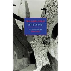 ISBN The Simple Past book English Paperback 240 pages