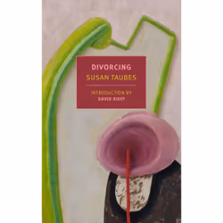 ISBN Divorcing, English, Paperback, 288 pages