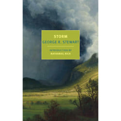 ISBN Storm book English Paperback 304 pages