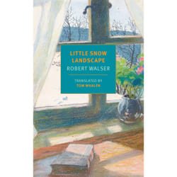 ISBN Little Snow Landscape book English Paperback 208 pages