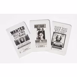 ISBN Harry Potter: Wanted Posters Pocket Notebook Collection (Set of 3), Art & design, English, Paperback, 64 pages