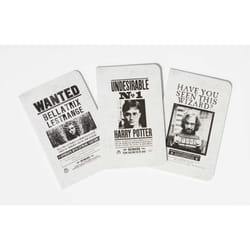 ISBN Harry Potter: Wanted Posters Pocket Notebook Collection (Set of 3) book Art & design English Paperback 64 pages