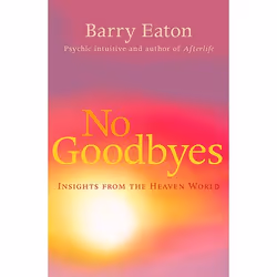 Allen & Unwin No Goodbyes, Health, mind & body, English, Paperback, 304 pages