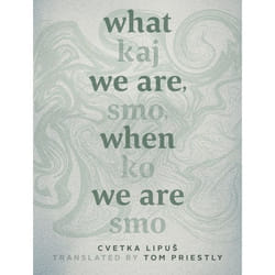 UBC Press What We Are, When We Are book Paperback 108 pages