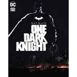 ISBN Batman : One Dark Knight book General novel English Hardcover