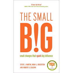 Allen & Unwin The small BIG, Business & finance, English, Paperback, 304 pages