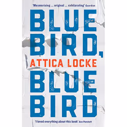 ISBN Bluebird, Bluebird, Paperback, 320 pages