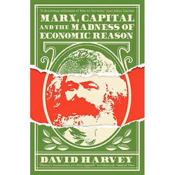 ISBN Marx, Capital and the Madness of Economic Reason, Paperback, 256 pages