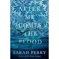 Allen & Unwin After Me Comes the Flood book Fiction English Paperback 240 pages