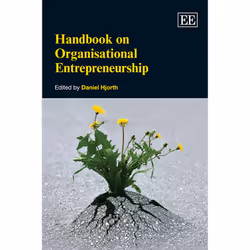 ISBN Handbook on Organisational Entrepreneurship, English, Paperback, 496 pages