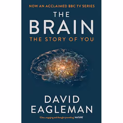 Allen & Unwin The Brain, Science & nature, English, Paperback, 256 pages