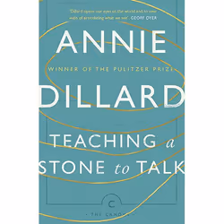 Allen & Unwin Teaching a Stone to Talk, History, English, Paperback, 208 pages