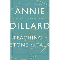 Allen & Unwin Teaching a Stone to Talk book History English Paperback 208 pages
