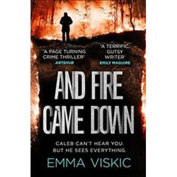 ISBN And Fire Came Down book Detective English 336 pages