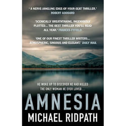 Allen & Unwin Amnesia book Fiction English Paperback 368 pages