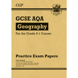 Coordination Group Publications (CGP) GAP41 book Geography 96 pages