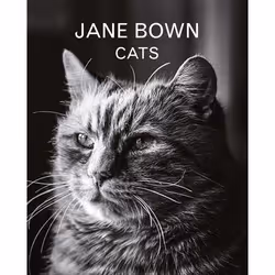 Allen & Unwin Jane Bown: Cats, Gift book, English, Hardcover, 160 pages
