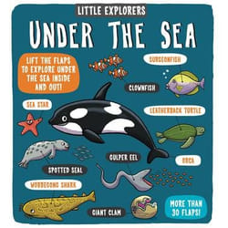 Allen & Unwin Little Explorers: Under the Sea book History English Hardcover 16 pages