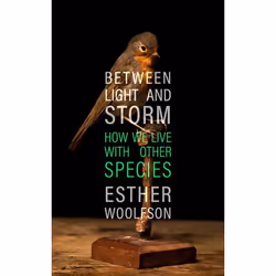 ISBN Between Light and Storm, Hardcover, 368 pages