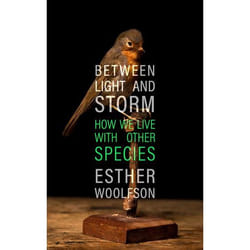 ISBN Between Light and Storm book Hardcover 368 pages