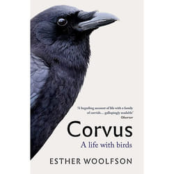Allen & Unwin Corvus book History English Paperback 352 pages
