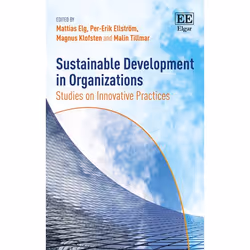 ISBN Sustainable Development in Organizations, English, Hardcover, 392 pages