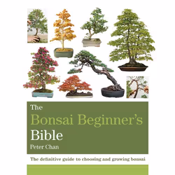 Hachette UK The Bonsai Beginner's Bible, English, Paperback, 320 pages
