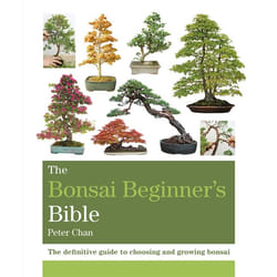 Hachette UK The Bonsai Beginner's Bible book English Paperback 320 pages