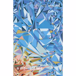 ISBN A Different Sea, English, Paperback, 112 pages
