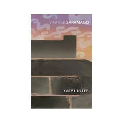 ISBN Skylight book General novel English Paperback 336 pages