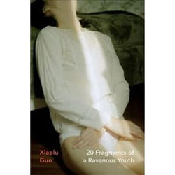 ISBN 20 Fragments of a Ravenous Youth book General novel English 208 pages