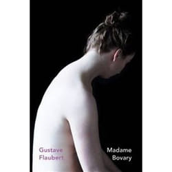 ISBN Madame Bovary book General novel English Paperback 384 pages