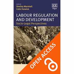 ISBN Labour Regulation and Development, English, Hardcover, 352 pages