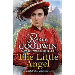 Allen & Unwin The Little Angel book Fiction English Paperback 496 pages