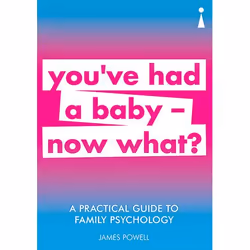 ISBN A Practical Guide to Family Psychology, Paperback, 224 pages