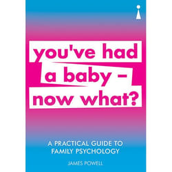ISBN A Practical Guide to Family Psychology book Paperback 224 pages