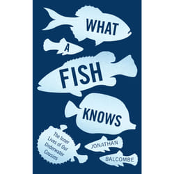 ISBN What a Fish Knows book English Paperback 304 pages
