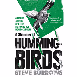 ISBN A Shimmer of Hummingbirds, Literary fiction, English, Paperback, 384 pages