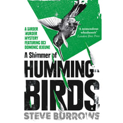 ISBN A Shimmer of Hummingbirds book Literary fiction English Paperback 384 pages
