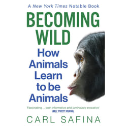 ISBN Becoming Wild book English Paperback 384 pages