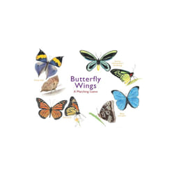 Butterfly Wings by Christine Berrie